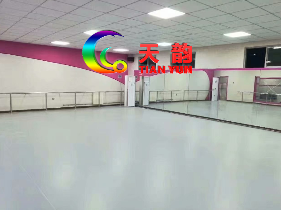 【辽宁天韵】舞蹈塑胶地板、沈阳舞蹈地胶生产厂家